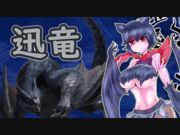 【ＭＨR】ゆっくりだべるモンスターハンターrice【第九膳　ナルガクルガ編】