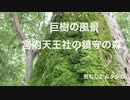 【巨樹の風景】　旧厳島神社兼帯（けんたい）社「宮内天王社」と社叢　夏の終わりに　