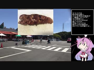 珍食材お買い物旅！#4　和歌山編