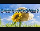 夏の終わりにゆずの新作紹介♪