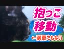 2021/08/16放送※cut版【136日目 北海道 網走郡大空町 夕方 あずにゃんぽ（猫散歩）】北海道全市町村制覇するまで帰れまてん！　猫と車中泊の旅　日本縦断【旅猫あずき～保護猫から旅猫へ～】