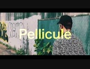 pellicure /不可思議/Wonderboy(KØH Remix)