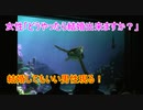 【結婚成立？】どうやったら結婚出来ますか？【タートルトーク】東京ディズニーシー