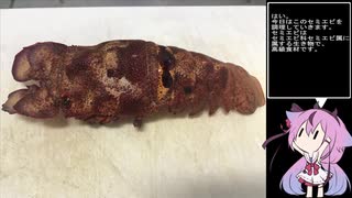 珍食材が食べたい！#16　セミエビのマヨ焼き