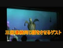 三回連続同じ話をさせるゲスト【タートルトーク】東京ディズニーシー