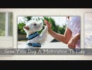 Dog Waterproof Coat With Legs