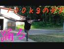 【即興】体重１００ｋｇのキモオタデブが『三原色』を必死に踊ってみた【Ayase/YOASOBI】