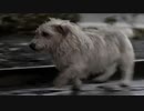 千年期 S1 EP17「放浪 (Walkabout)」