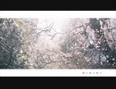 白ゆき 歌ってみた【piano arrange】