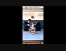 【大惨事】輪ゴムで卵大爆発して天井までブッ飛んだw【EggTokで人気】　【ヒカマニ】【hikakin_mania】