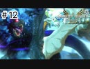 【ゆっくり実況】久しぶりにモンハンで遊ぶ【MHS2】#12