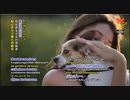 英国のドッグトレーナーは楽しくわかりやすい動画でTikTokで大人気に