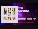 【リミックス】TWICE「What Is Love」【Orizzonti Sonori Version リミックス 】