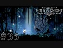 虫嫌いが行く昆虫王国冒険譚 #35【Hollow Knight】