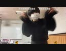 【抹茶A】今動画見て即興で、ワンダフル！