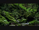 SPRIGGAN  image album (Main Theme1)　スプリガン　イメージアルバム (メインテーマ1)