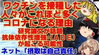 【ゆっくりニュース】「ワクチンを接種した人々が　これほど多くコロナになる理由」　研究論文が話題　抗体依存性増強（ADE）が起こる可能性