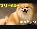 【フリーBGM】まったーり