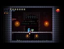 【実況】Exit The Gungeonを今更やる -76