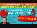 0820□息子コロナの妖精39度4日で復活　簡単ウイスル撃退法 日本でもにゅるんされてる　死んだはずのマカフィさんからの予告　他 □引棒RO倶楽部 2021