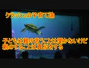 【クラッシュの子育て論】親の言うことは聞かないけど親の真似はする【タートルトーク】東京ディズニーシー