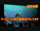【都市伝説】ディズニーに来て喧嘩ばかりしてます【タートルトーク】東京ディズニーシー