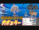 【ポケモン剣盾】術中に嵌めた時こそ油断するな【ダブルバトル】