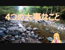 フライフィッシャー弦巻マキが真夏のイワナ釣りのコツを教えます