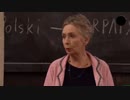 Szkoła TVN odcinek 696 bez reklam (szkoła całe odcinki HD)
