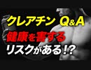 クレアチンの健康に対するリスクと摂取方法【ビーレジェンド プロテイン】