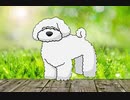 小動物 SMALL×SMALL