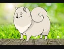 小動物 SMALL×SMALL