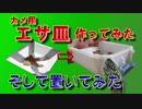 【クサガメ】エサ皿を作って置いてみた。食べるかな？クサガメカメコ[Reeves turtle] クサガメ飼育