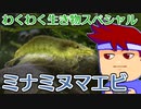 第524位：バーチャルいいゲーマー　佳作選　わくわく生き物スペシャル「ミナミヌマエビ」編。