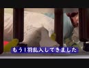 イ ン コ 散 歩