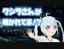 【ぼくのなつやすみ】クジラさんが焼かれてる！？ 25日目【YUMU】