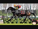 【競馬】ゆっくりさんと未来に語り継ぎたい名馬たち その042【ゆっくり朗読】