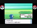 暑い夏は涼しいシンオウ地方へ...　Part 2