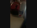 ミッドナイト・プール　歌ってみた
