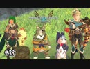 【実況】カイルたちと仲良く？協力することになりました。【MHS2】#33