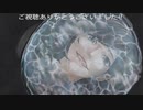 真流行り神3(人間シチュー編)プレイ動画Part25