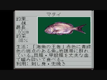 【SFC海のぬし釣り】ゆったりのんびり海釣りに行こう リターンズ その15