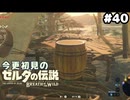 【ゼルダの伝説ブレスオブザワイルド】メ〇ルギア始まった【実況プレイ】#40