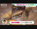 ARで観察まで・・・“進化系図鑑”　コロナ禍でブーム！