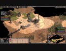 頭空っぽで見るAOE2DE.warzone