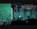 虫嫌いが行く昆虫王国冒険譚 #36【Hollow Knight】