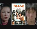 少林寺木人拳 -吹替TV版- (2/3) 少林木人巷 Shaolin Wooden Men (1976)