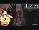 【実3-13】ホラゲ苦手人が噂のバイオ村を散策する
