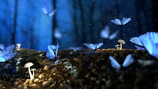 【無料音楽素材】Butterfly（明るい・軽快）クラリネットを使ったポップで明るい雰囲気のフリーBGM