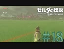 【女性実況】# 18 それっぽいのに見つからない【ゼルダの伝説 ブレス オブ ザ ワイルド】
